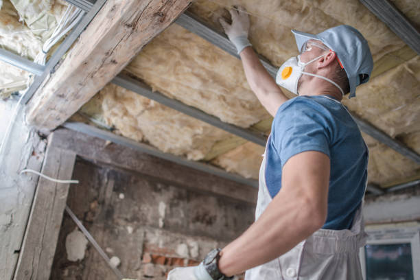 Best DIY Insulation Kits and Guidance in Leadville, CO
