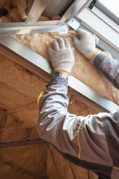 Best Specialized Insulation Services in Leadville, CO